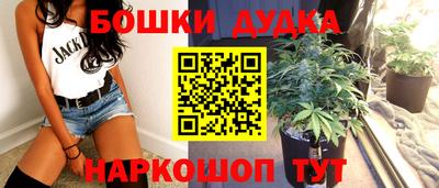 мдпв Партизанск